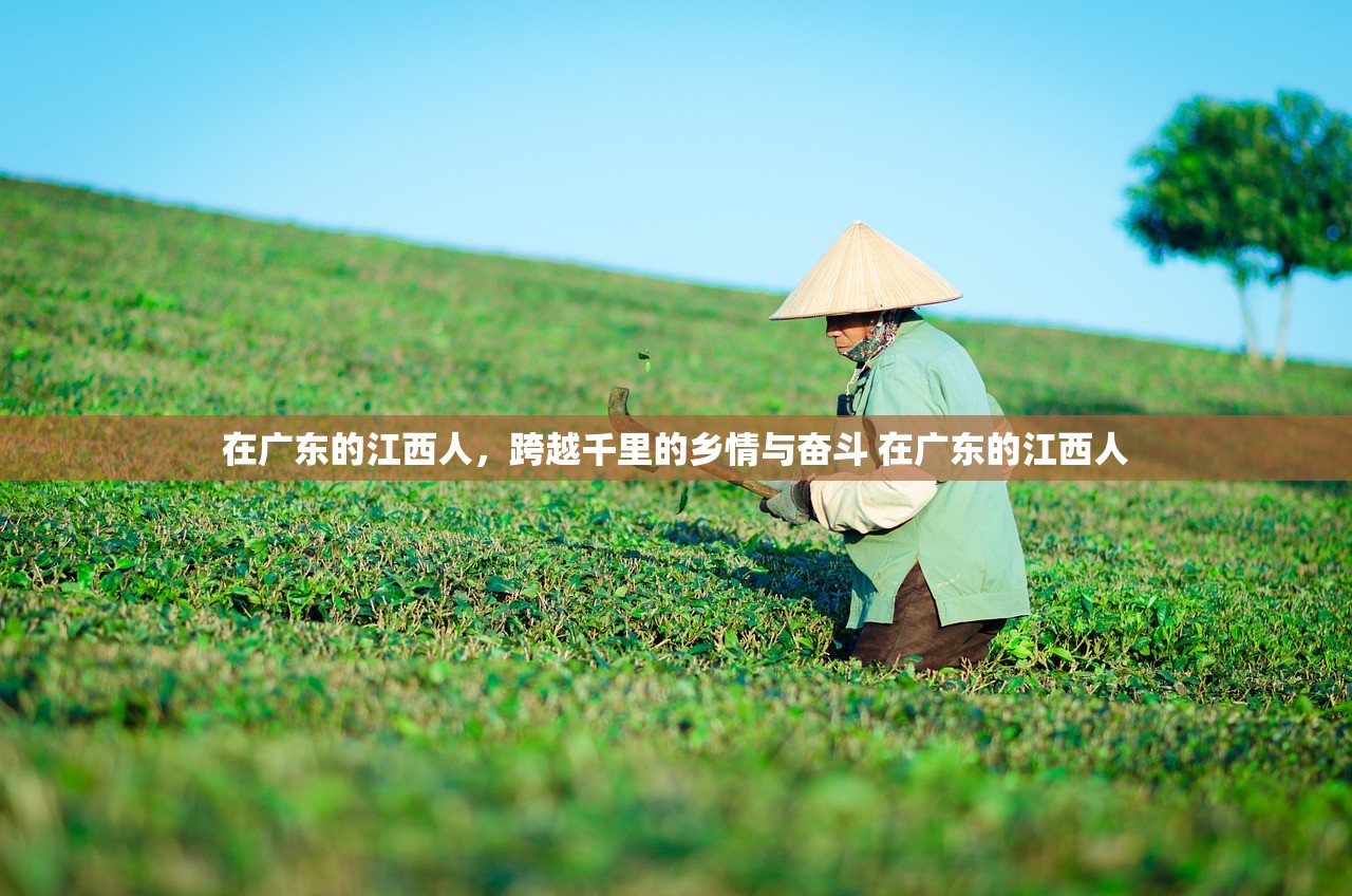 在广东的江西人，跨越千里的乡情与奋斗 在广东的江西人