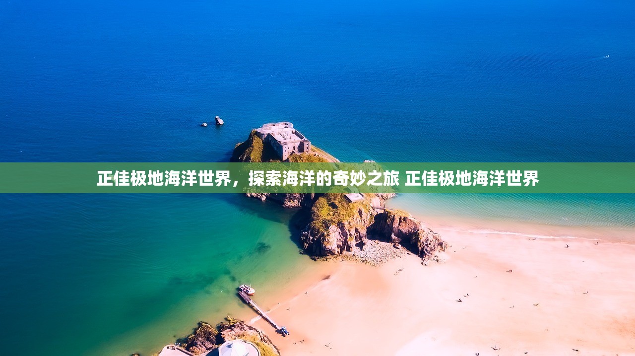 正佳极地海洋世界，探索海洋的奇妙之旅 正佳极地海洋世界