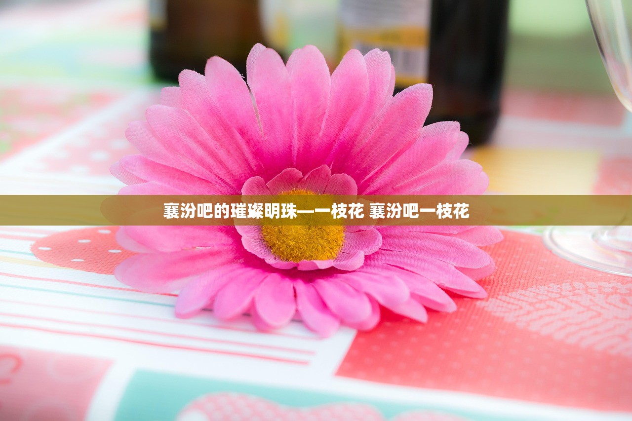 襄汾吧的璀璨明珠—一枝花 襄汾吧一枝花