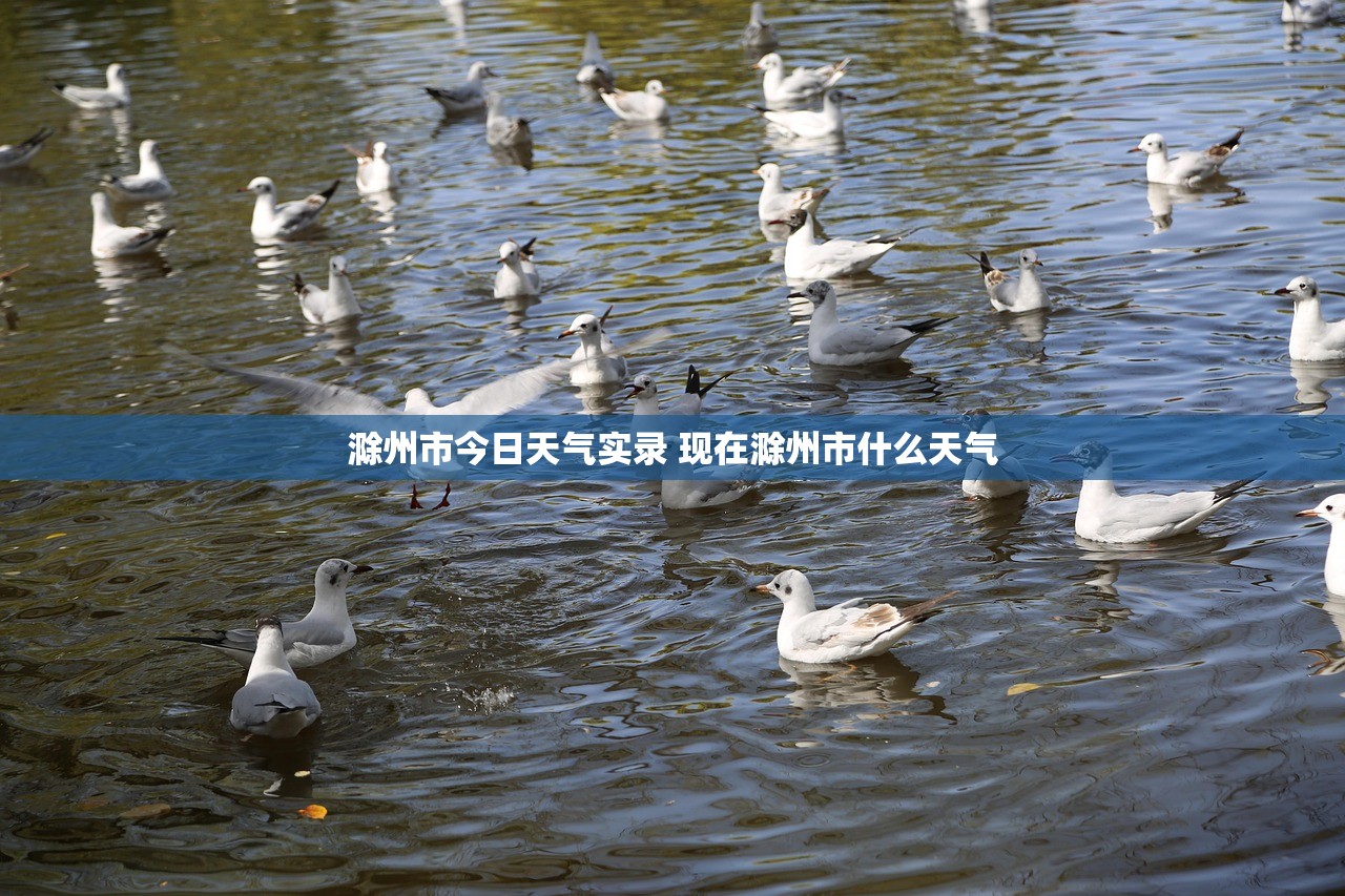 滁州市今日天气实录 现在滁州市什么天气 滁州市今日天气实录 现在滁州市什么天气