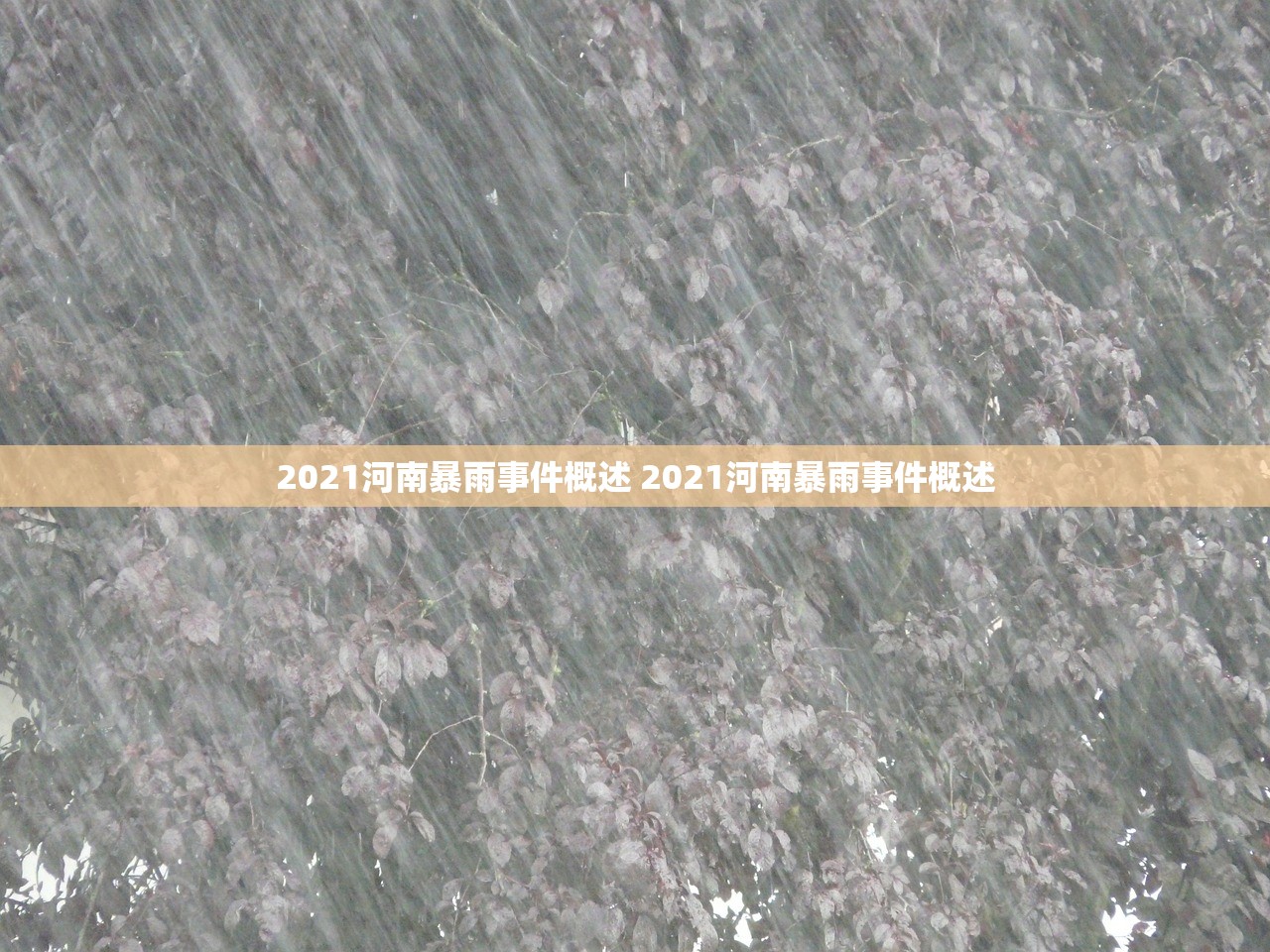 2021河南暴雨事件概述 2021河南暴雨事件概述