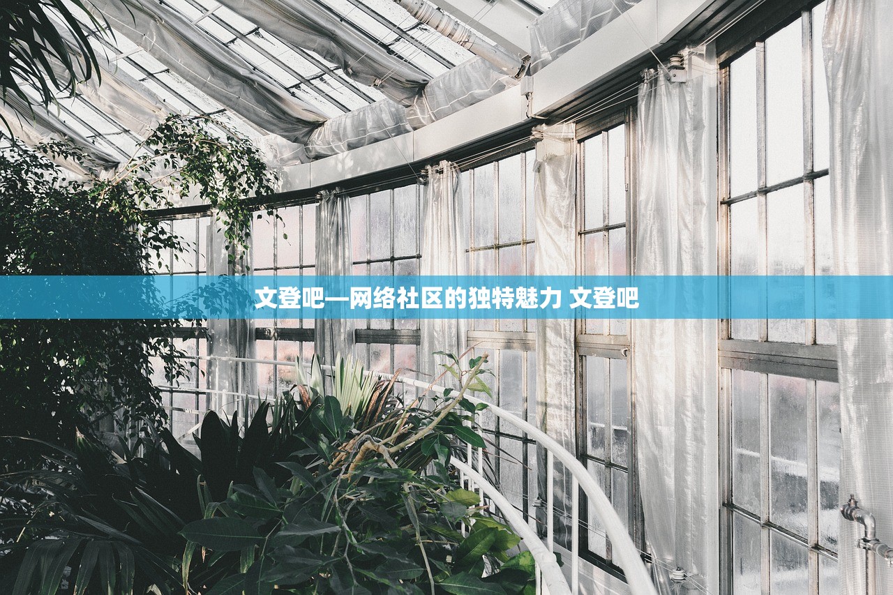 文登吧—网络社区的独特魅力 文登吧
