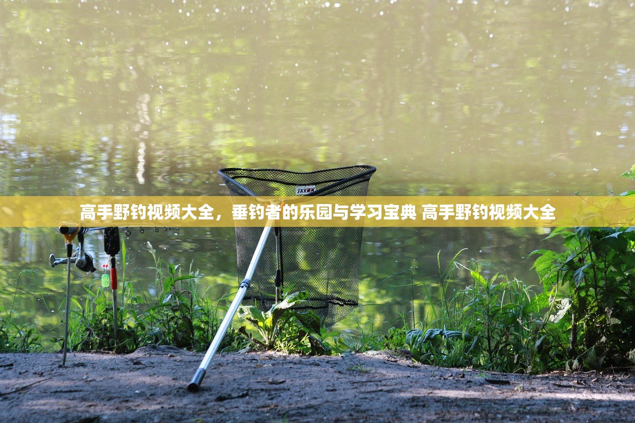 高手野钓视频大全,垂钓者的乐园与学习宝典 高手野钓视频大全 高手野钓视频大全,垂钓者的乐园与学习宝典 高手野钓视频大全
