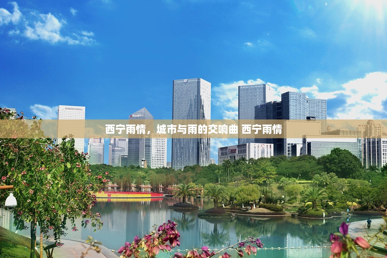 西宁雨情，城市与雨的交响曲 西宁雨情