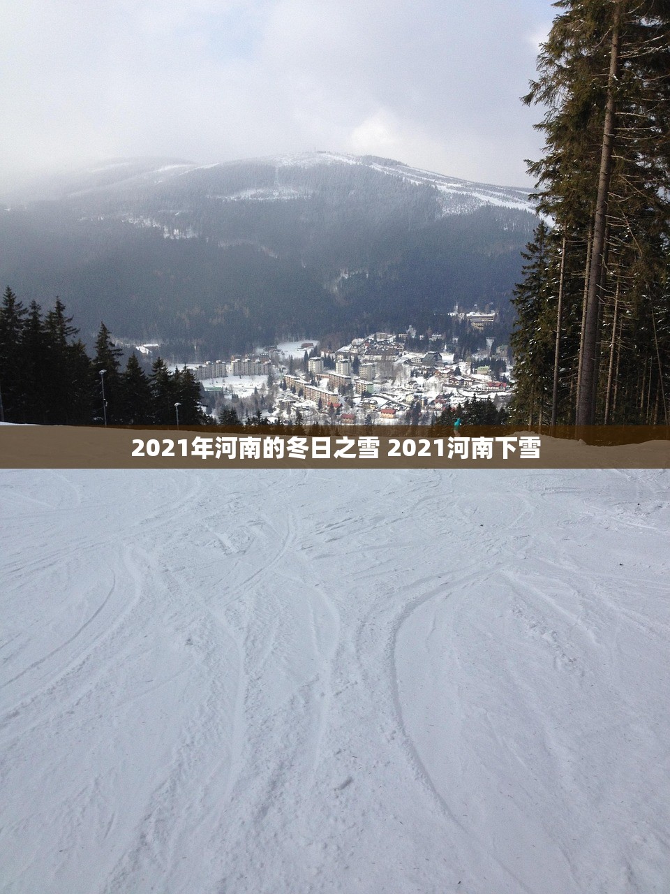 2021年河南的冬日之雪 2021河南下雪
