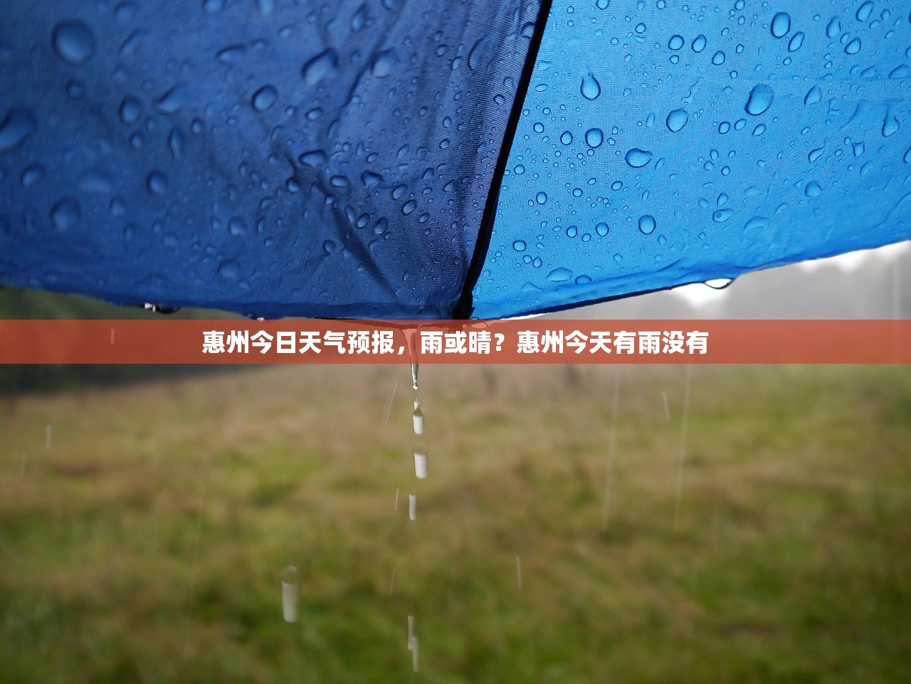 惠州今日天气预报,雨或晴?惠州今天有雨没有 惠州今日天气预报,雨或晴?惠州今天有雨没有