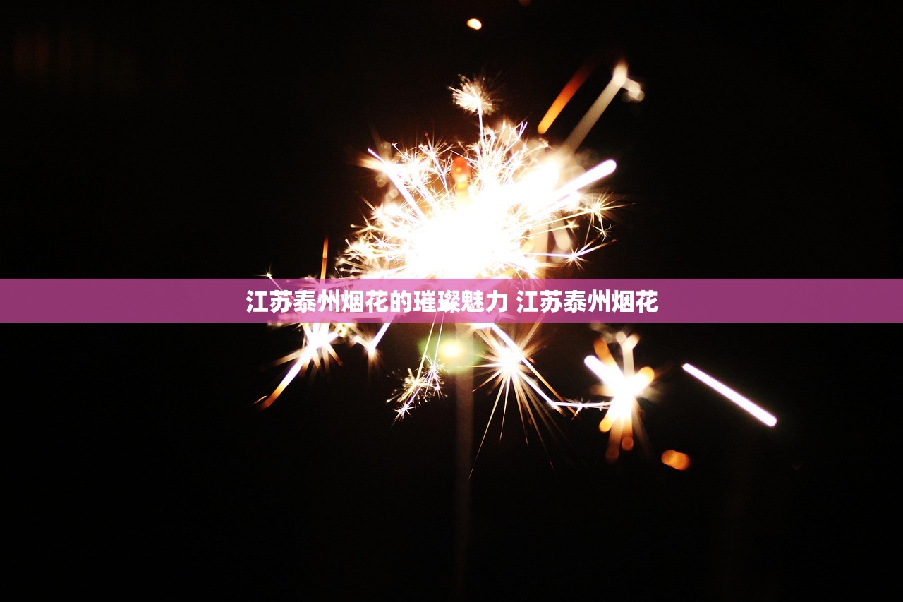 江苏泰州烟花的璀璨魅力 江苏泰州烟花