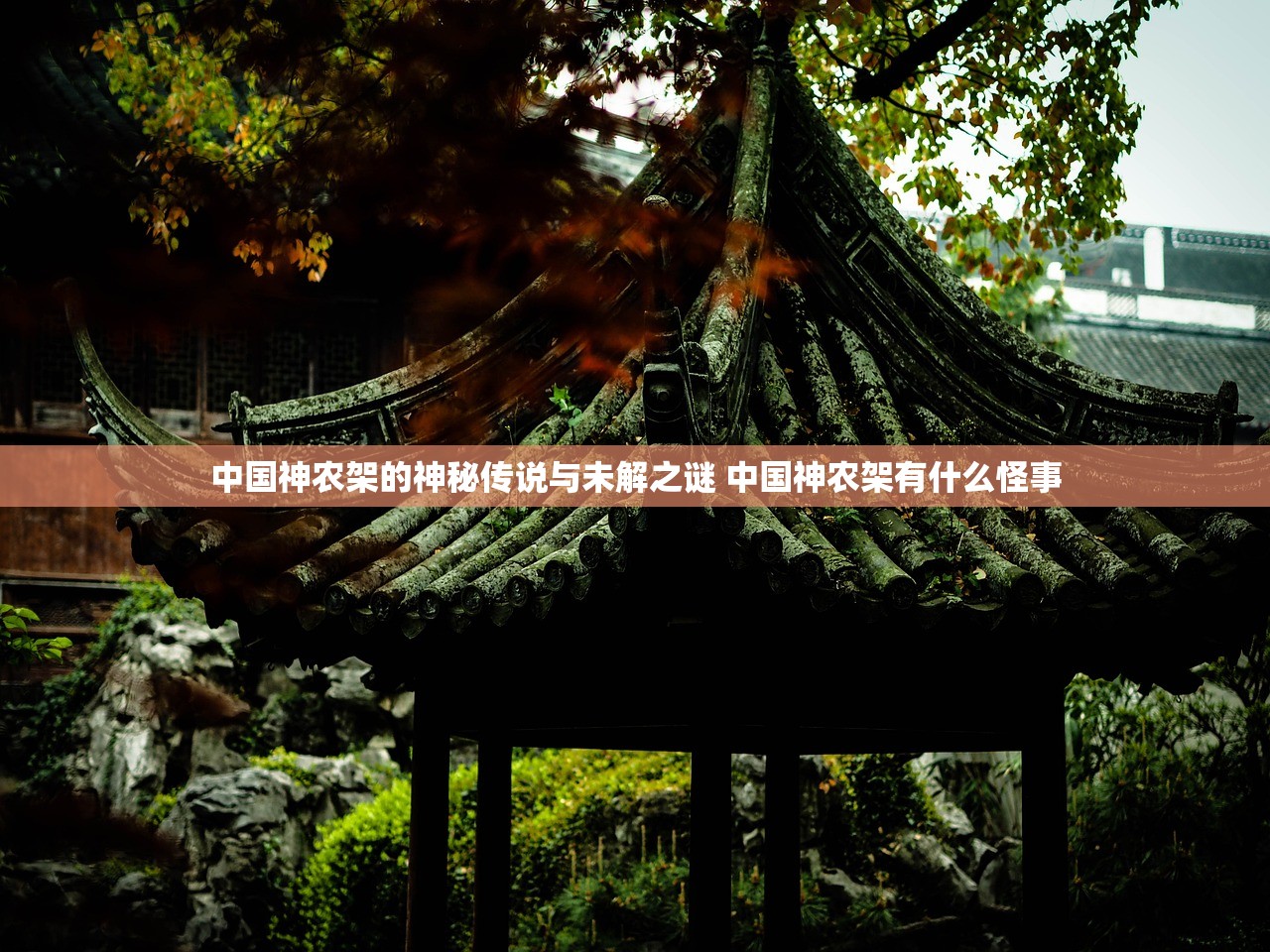 中国神农架的神秘传说与未解之谜 中国神农架有什么怪事