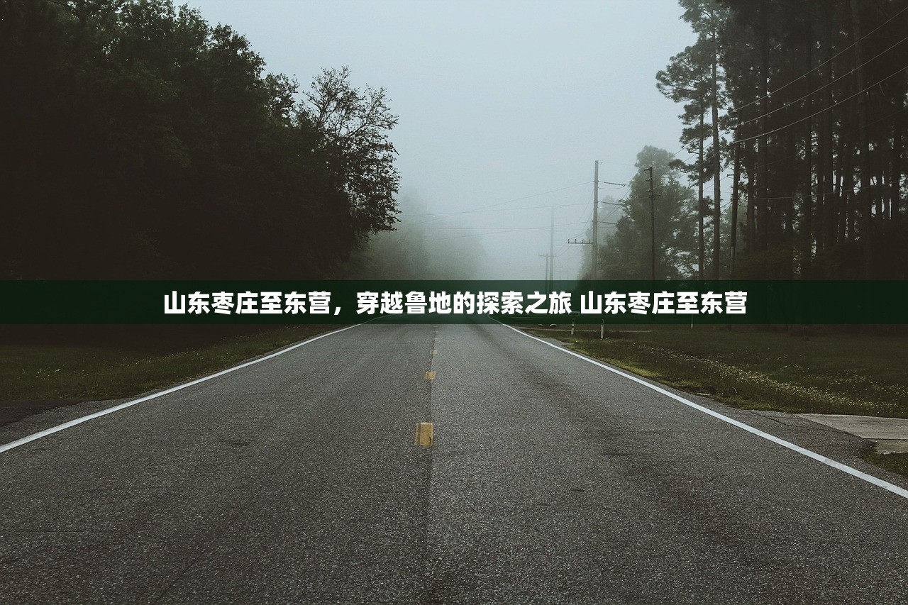 山东枣庄至东营，穿越鲁地的探索之旅 山东枣庄至东营