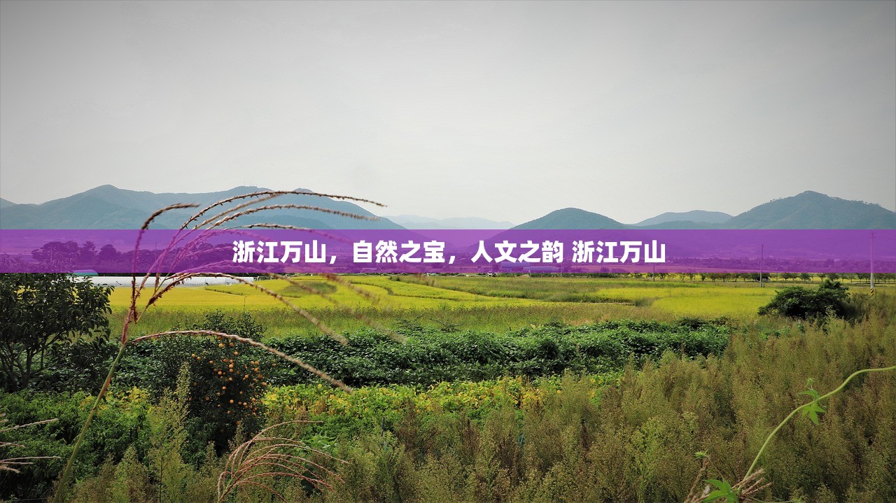 浙江万山，自然之宝，人文之韵 浙江万山