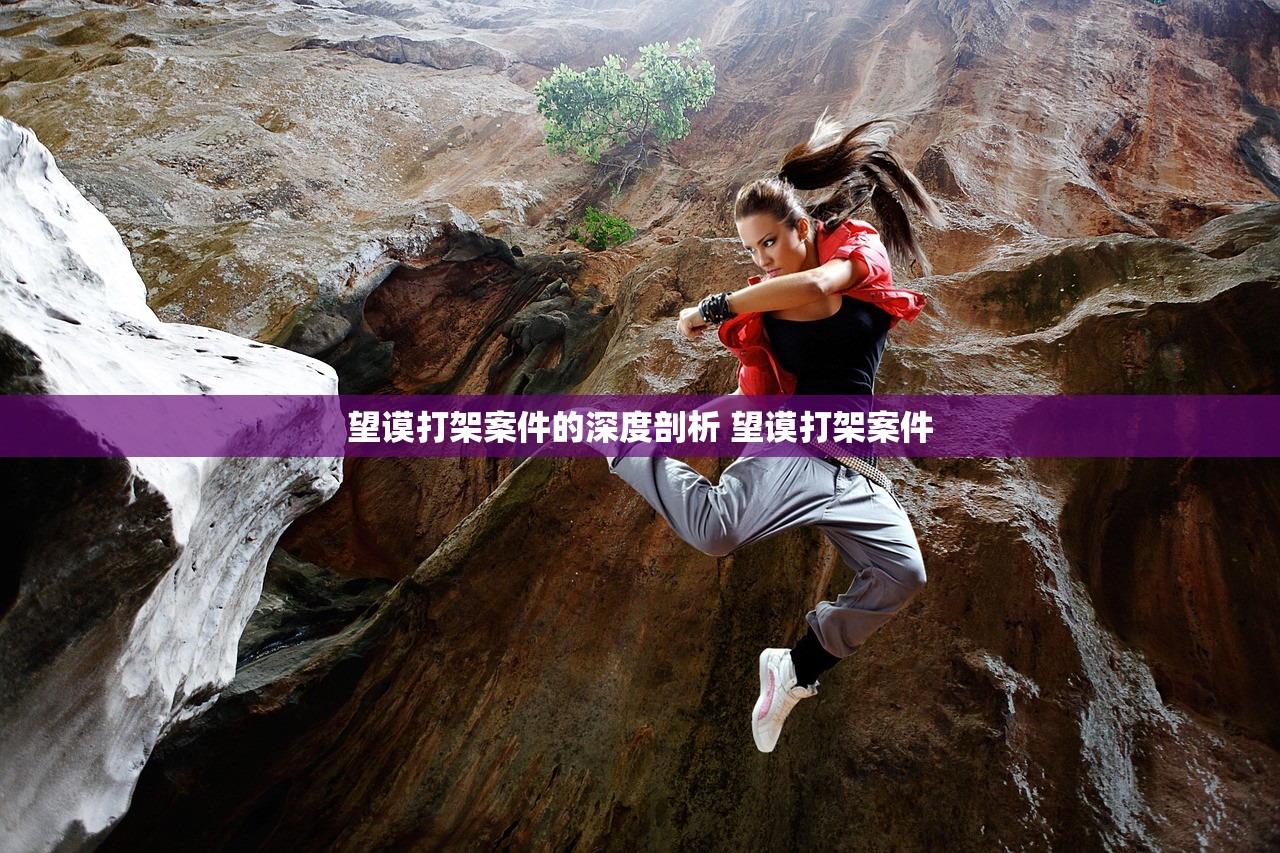 望谟打架案件的深度剖析 望谟打架案件