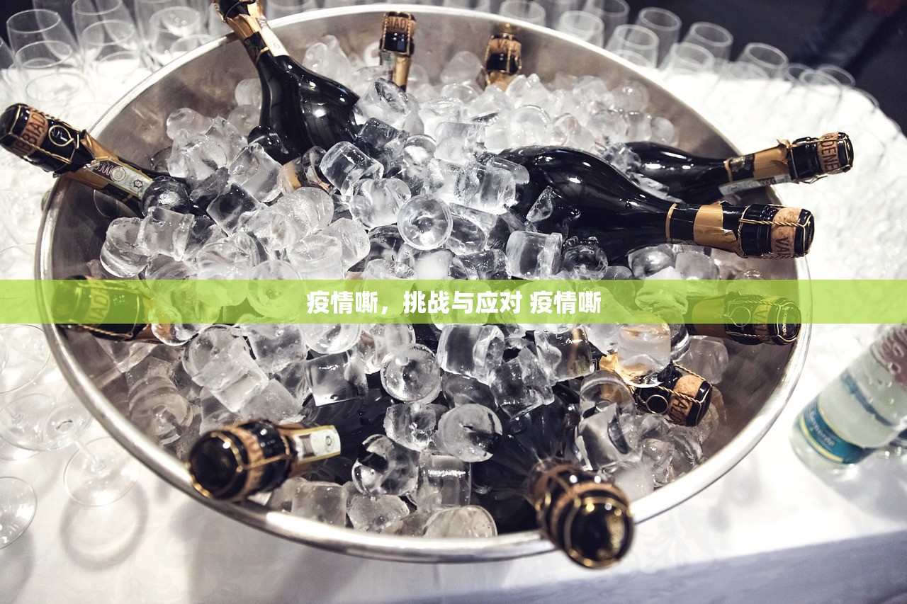 疫情嘶，挑战与应对 疫情嘶