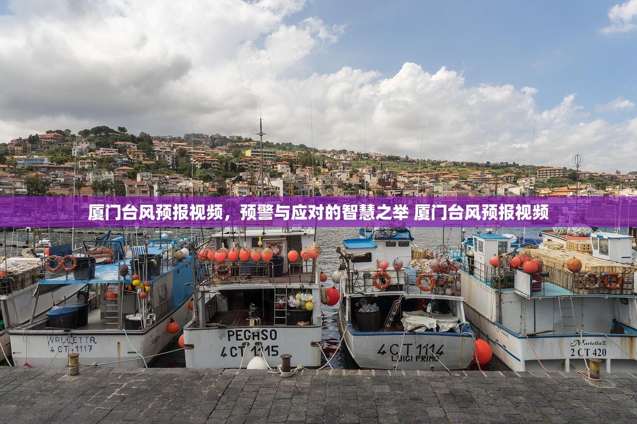 厦门台风预报视频，预警与应对的智慧之举 厦门台风预报视频