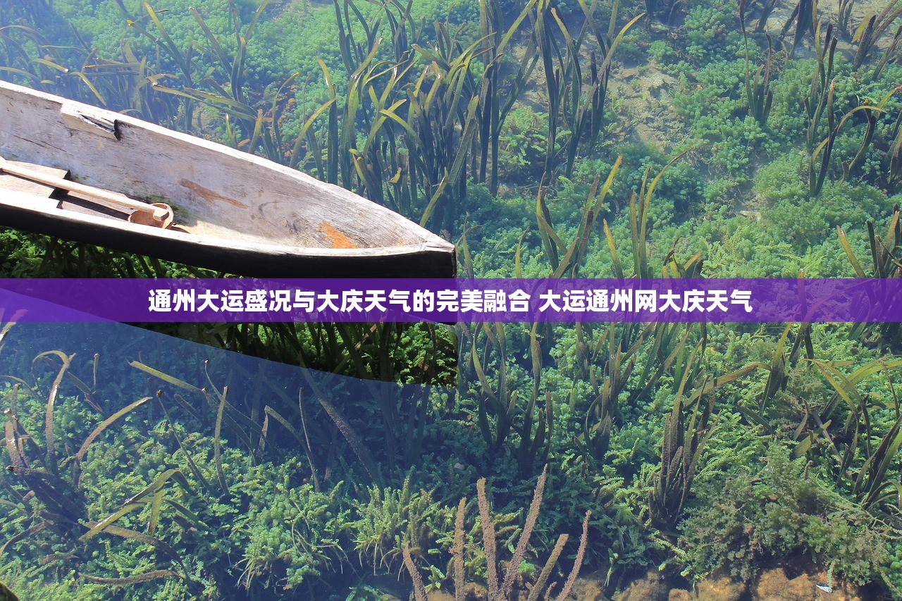 通州大运盛况与大庆天气的完美融合 大运通州网大庆天气
