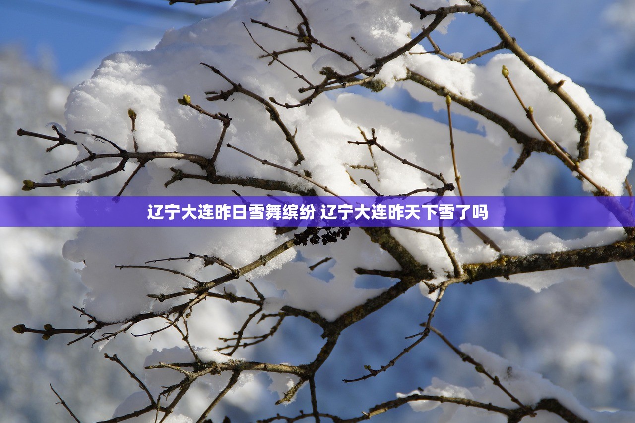辽宁大连昨日雪舞缤纷 辽宁大连昨天下雪了吗