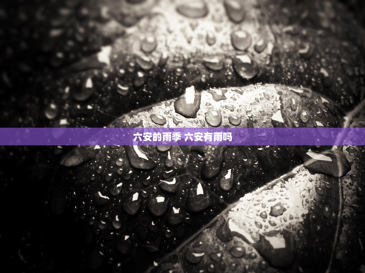 六安的雨季 六安有雨吗