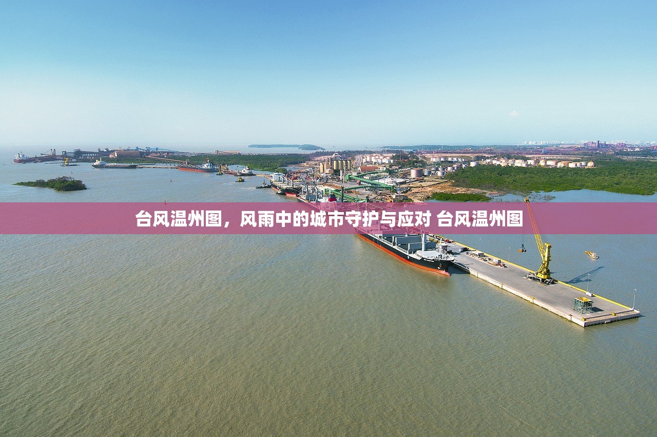 台风温州图，风雨中的城市守护与应对 台风温州图