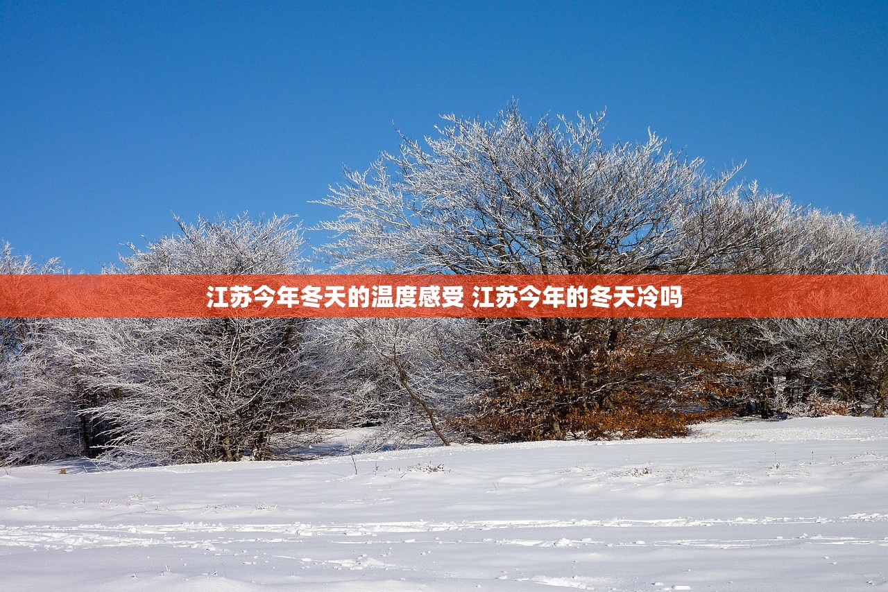 江苏今年冬天的温度感受 江苏今年的冬天冷吗
