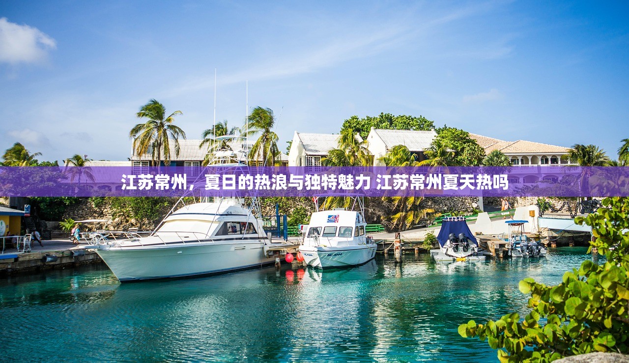 江苏常州，夏日的热浪与独特魅力 江苏常州夏天热吗
