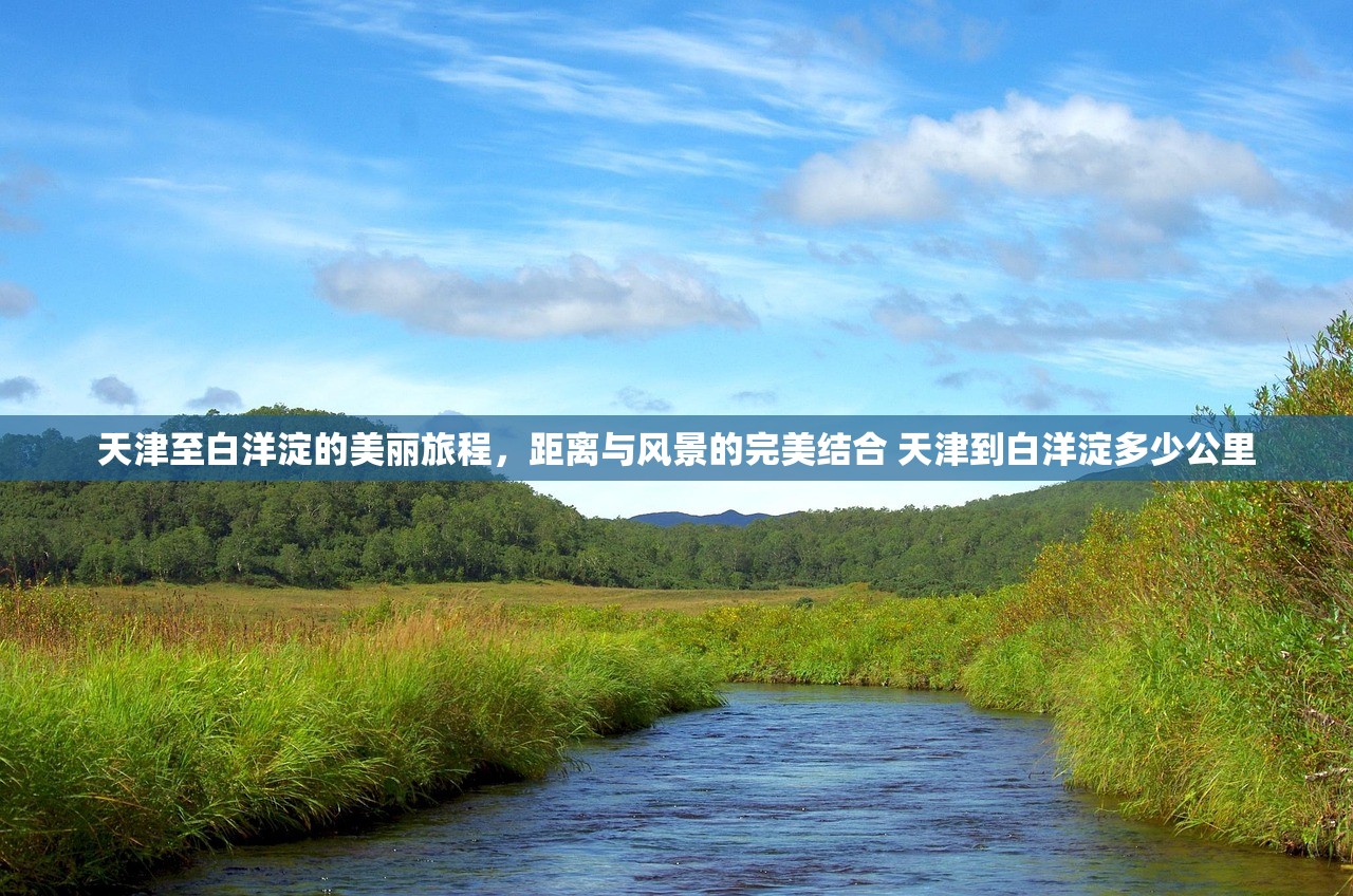 天津至白洋淀的美丽旅程,距离与风景的完美结合 天津到白洋淀多少公里 天津至白洋淀的美丽旅程,距离与风景的完美结合 天津到白洋淀多少公里