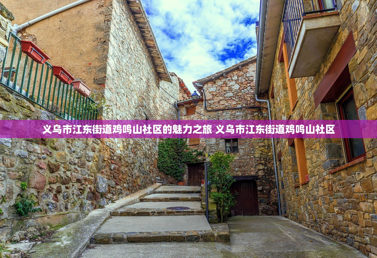 义乌市江东街道鸡鸣山社区的魅力之旅 义乌市江东街道鸡鸣山社区