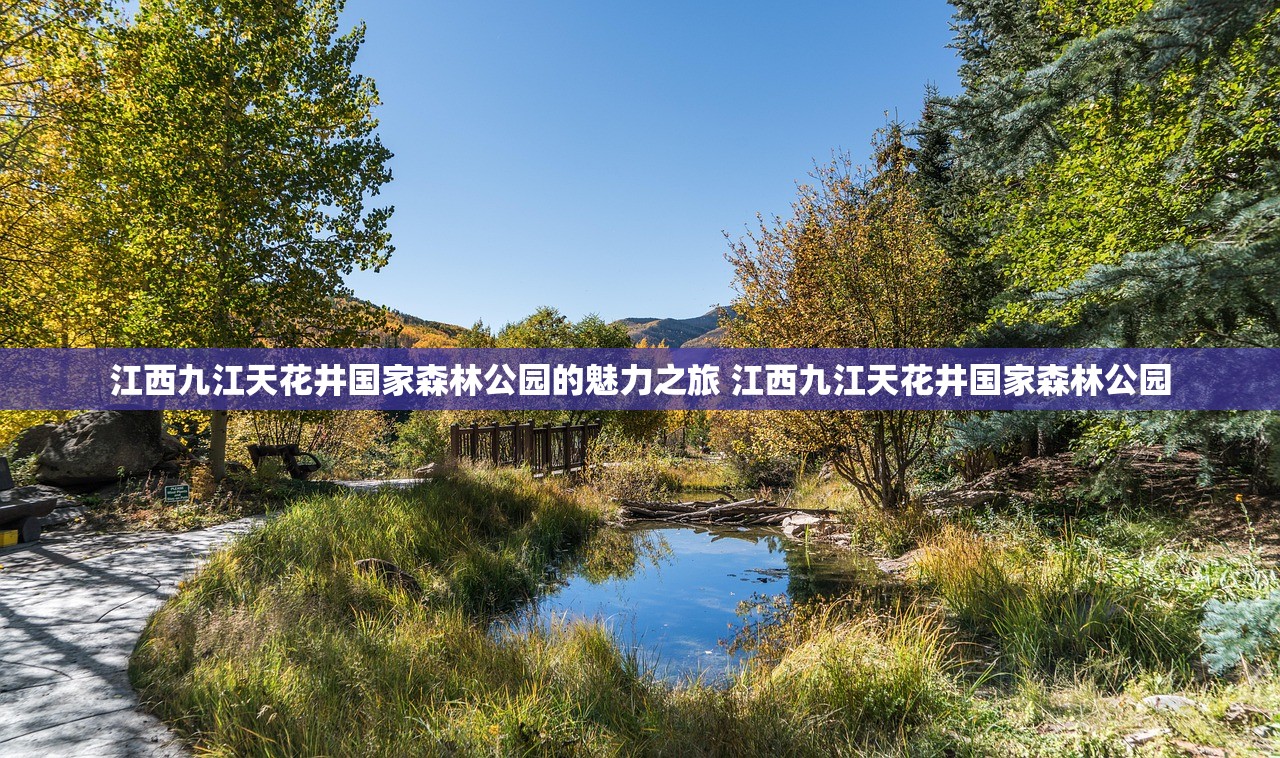 江西九江天花井国家森林公园的魅力之旅 江西九江天花井国家森林公园