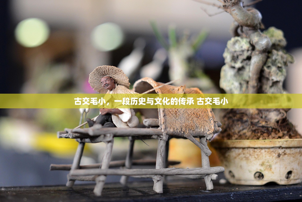 古交毛小，一段历史与文化的传承 古交毛小