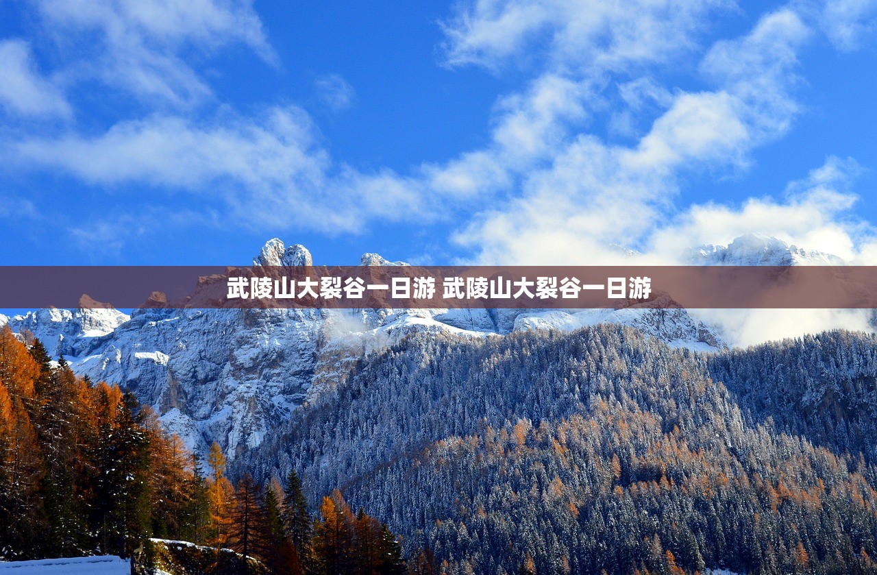 武陵山大裂谷一日游 武陵山大裂谷一日游