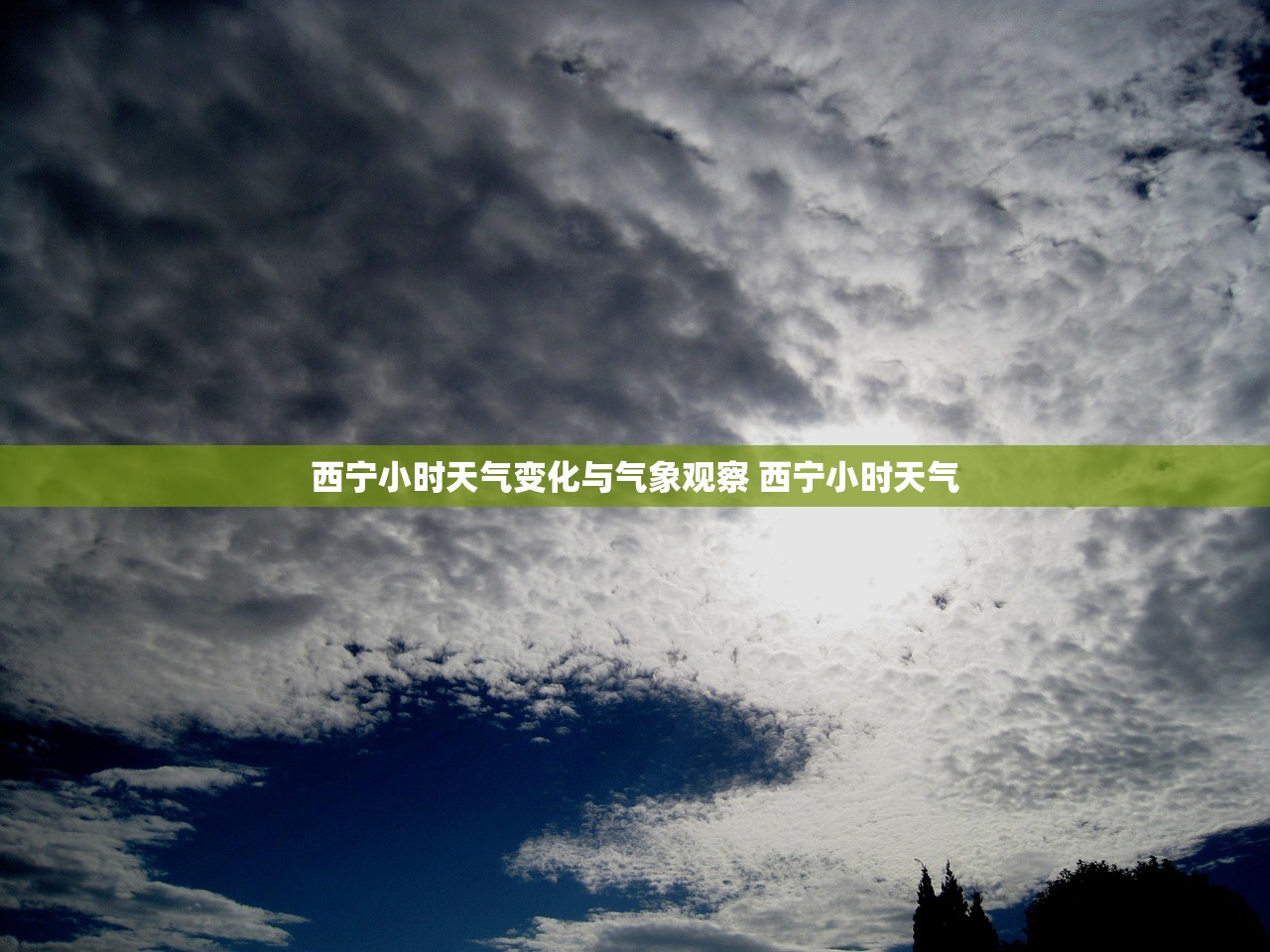 西宁小时天气变化与气象观察 西宁小时天气 西宁小时天气变化与气象观察 西宁小时天气