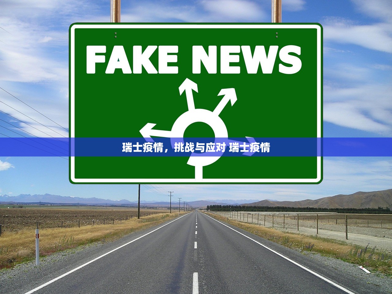 瑞士疫情，挑战与应对 瑞士疫情