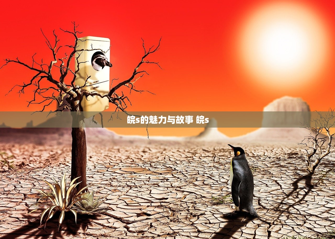 皖s的魅力与故事 皖s