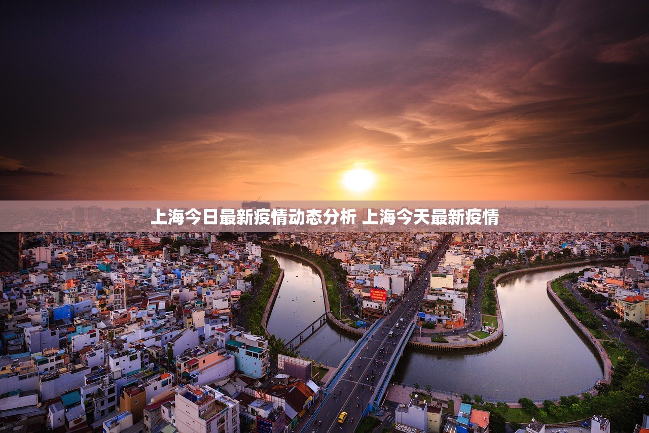上海今日最新疫情动态分析 上海今天最新疫情 上海今日最新疫情动态分析 上海今天最新疫情