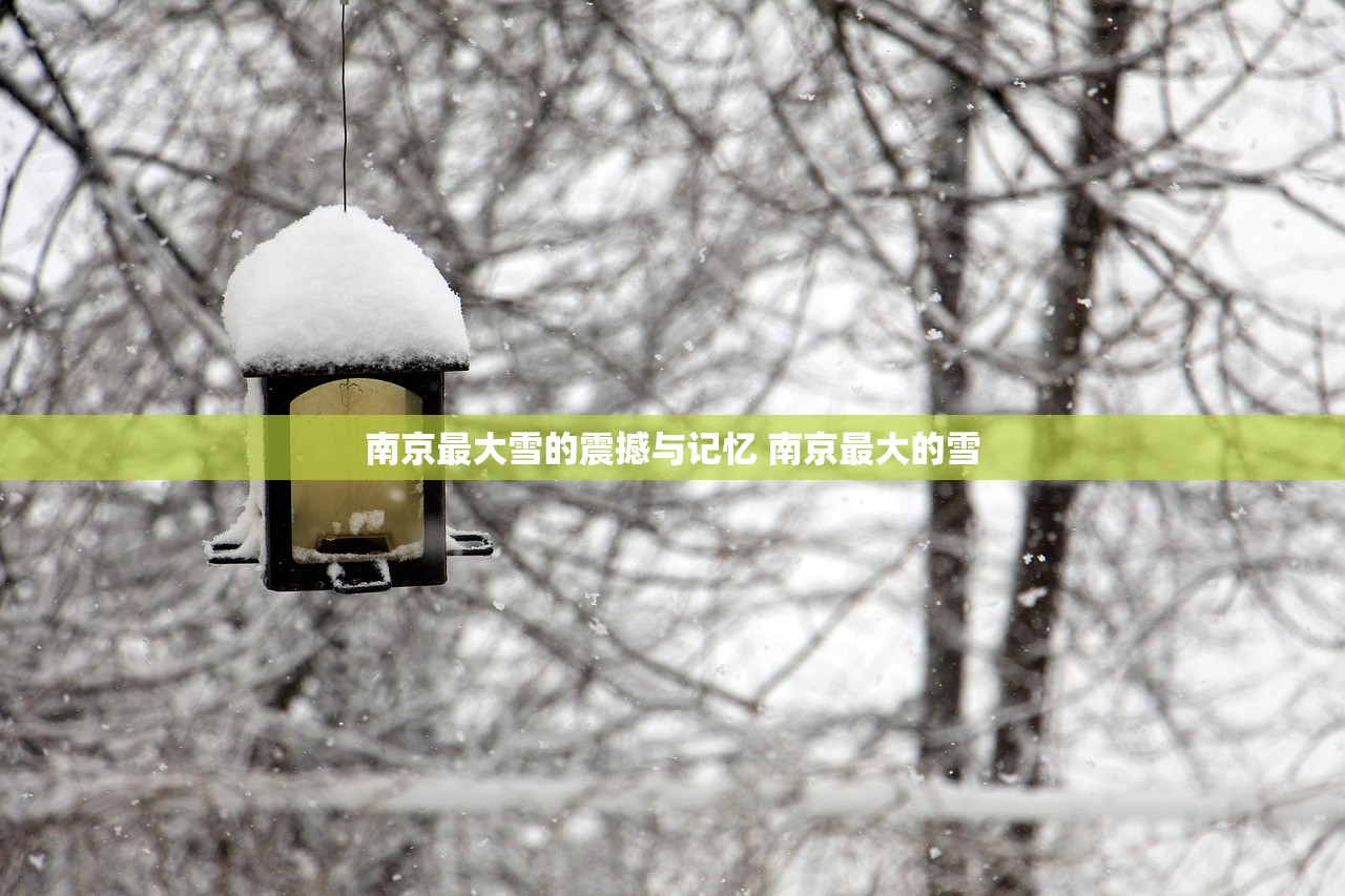 南京最大雪的震撼与记忆 南京最大的雪