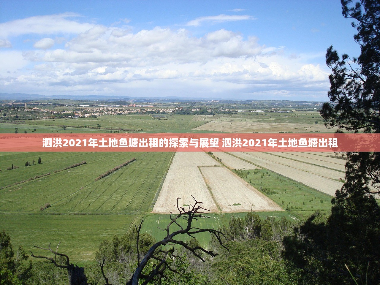 泗洪2021年土地鱼塘出租的探索与展望 泗洪2021年土地鱼塘出租