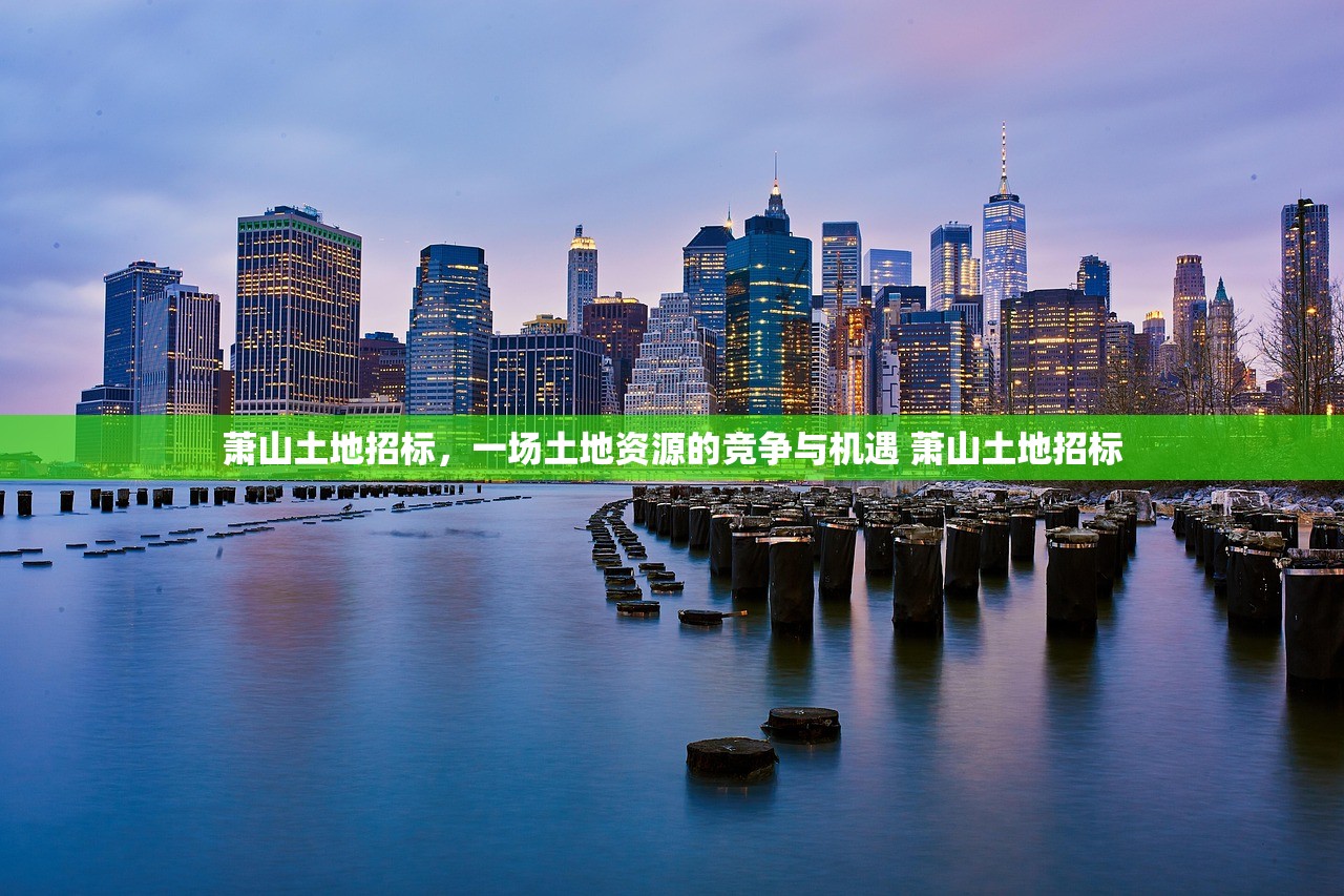 萧山土地招标，一场土地资源的竞争与机遇 萧山土地招标