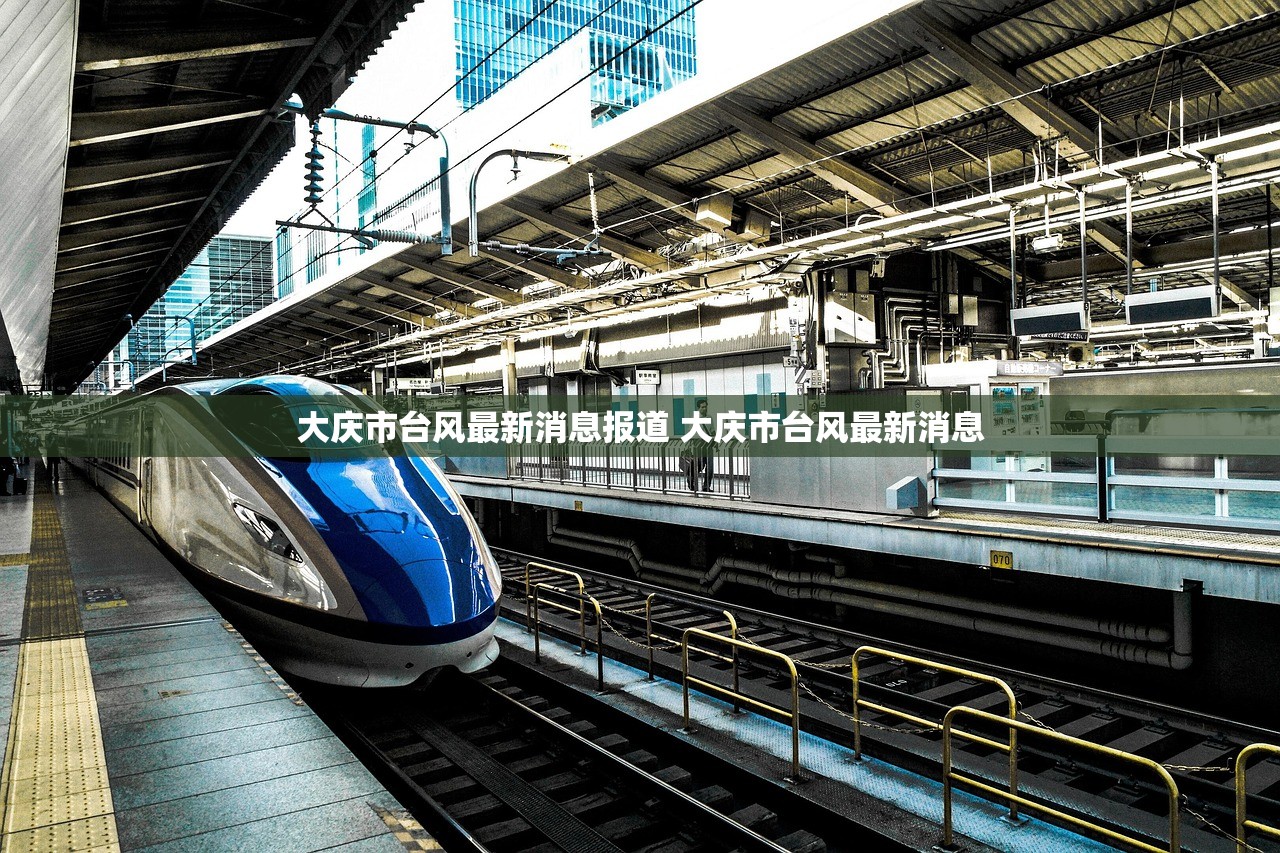 大庆市台风最新消息报道 大庆市台风最新消息