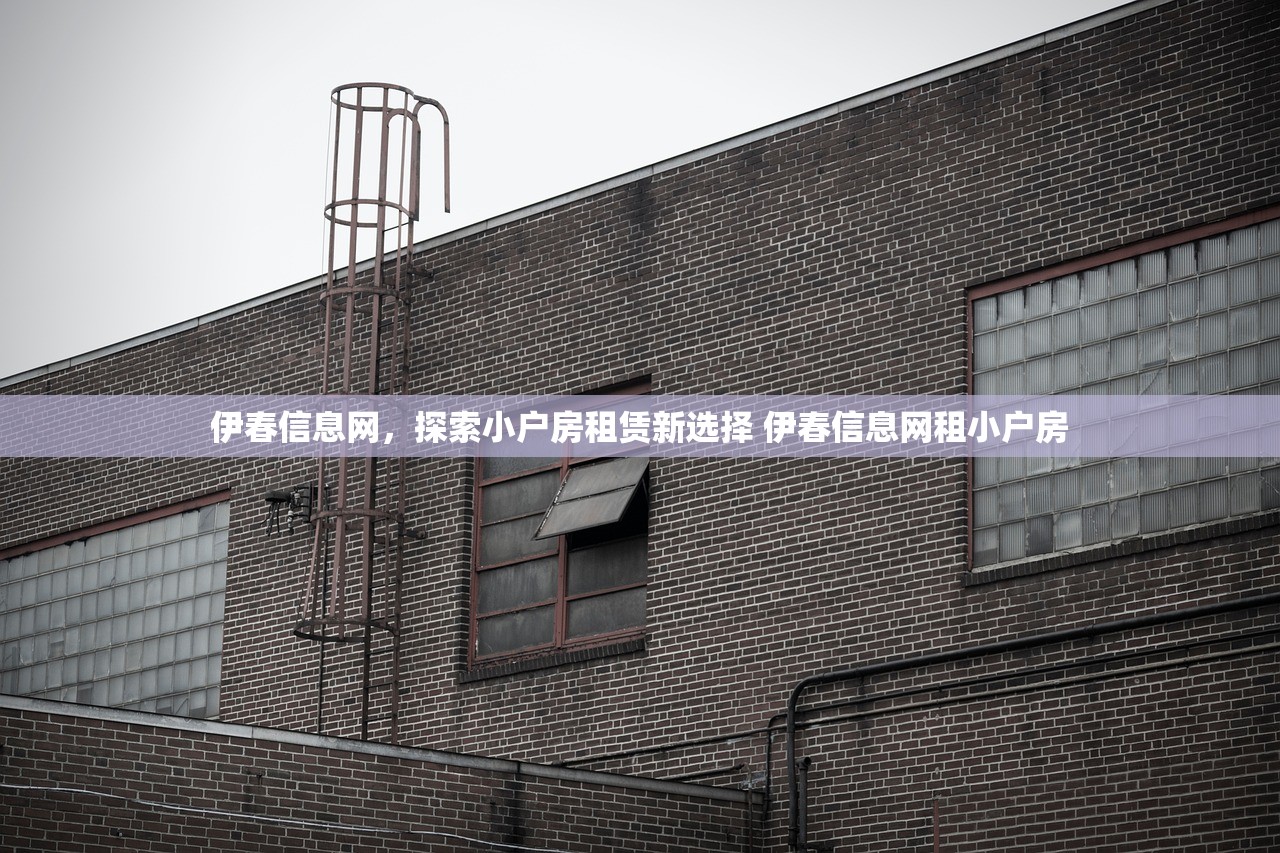 伊春信息网,探索小户房租赁新选择 伊春信息网租小户房 伊春信息网,探索小户房租赁新选择 伊春信息网租小户房