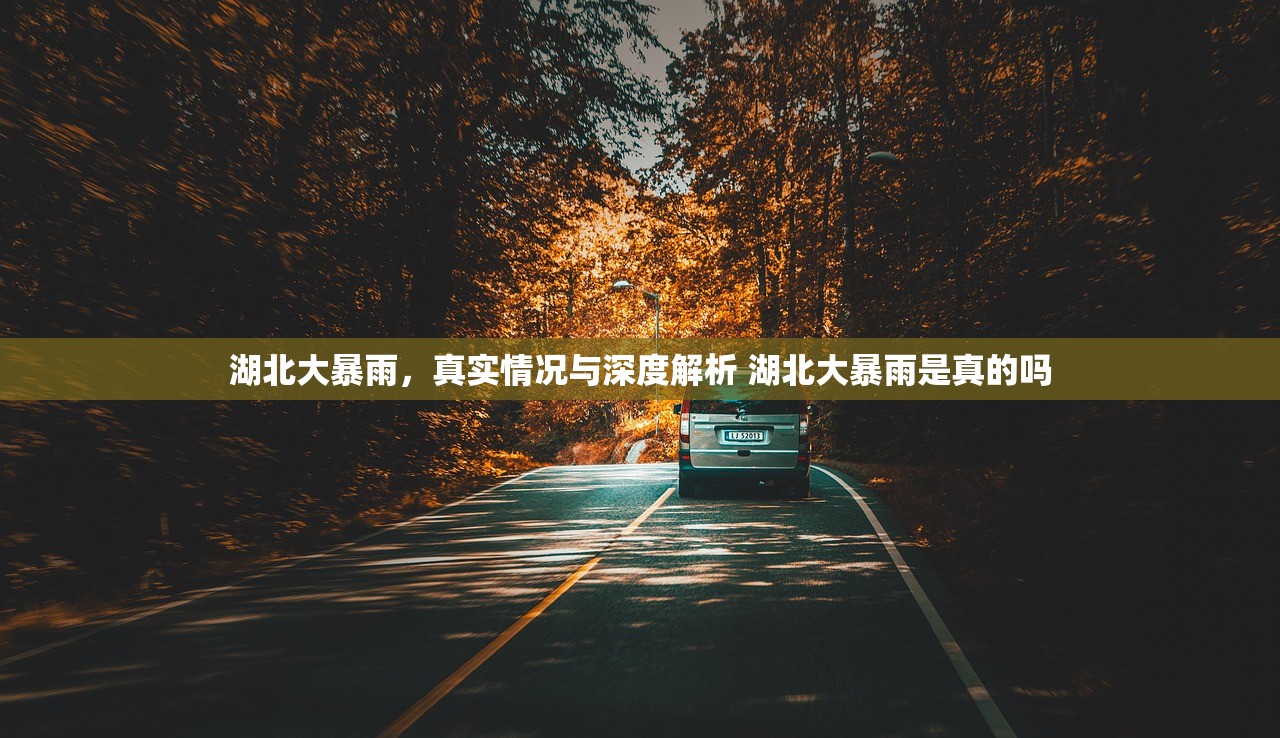 湖北大暴雨，真实情况与深度解析 湖北大暴雨是真的吗