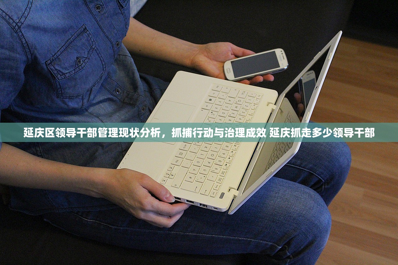 延庆区领导干部管理现状分析，抓捕行动与治理成效 延庆抓走多少领导干部
