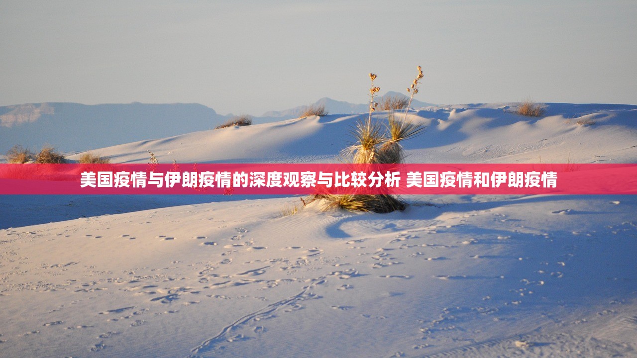美国疫情与伊朗疫情的深度观察与比较分析 美国疫情和伊朗疫情