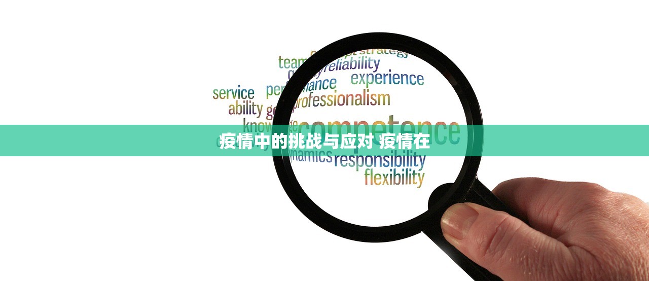 疫情中的挑战与应对 疫情在