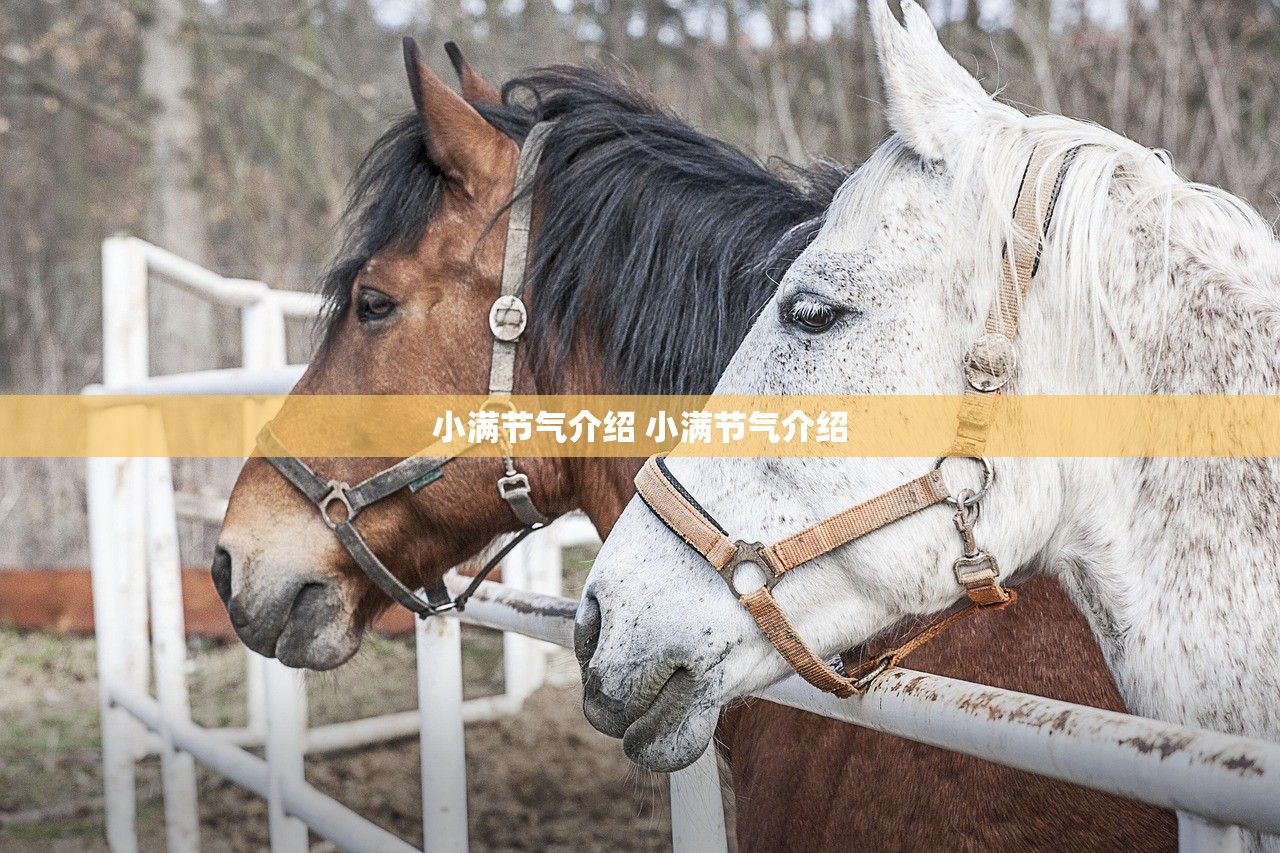 小满节气介绍 小满节气介绍 小满节气介绍 小满节气介绍