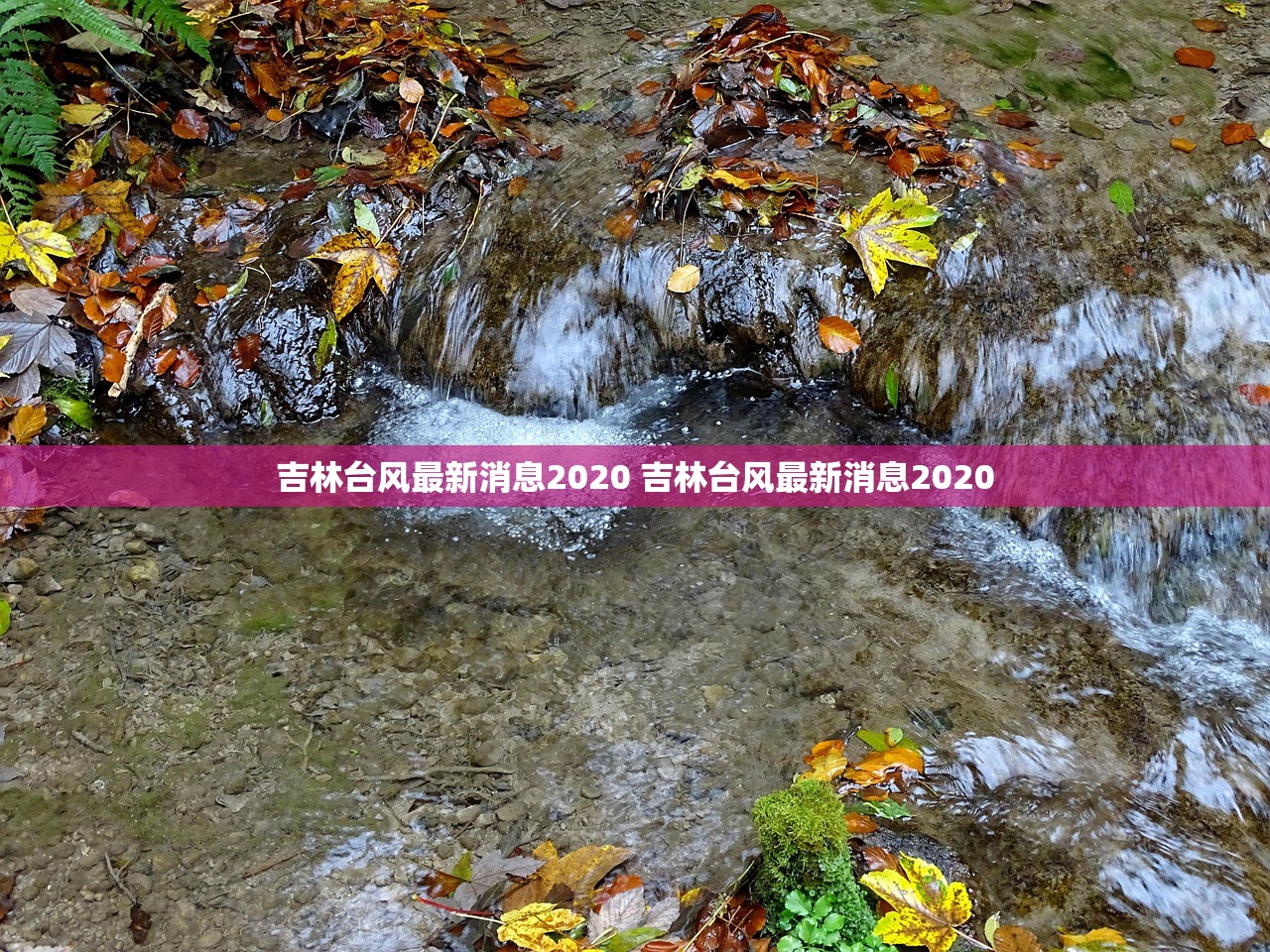 吉林台风最新消息2020 吉林台风最新消息2020