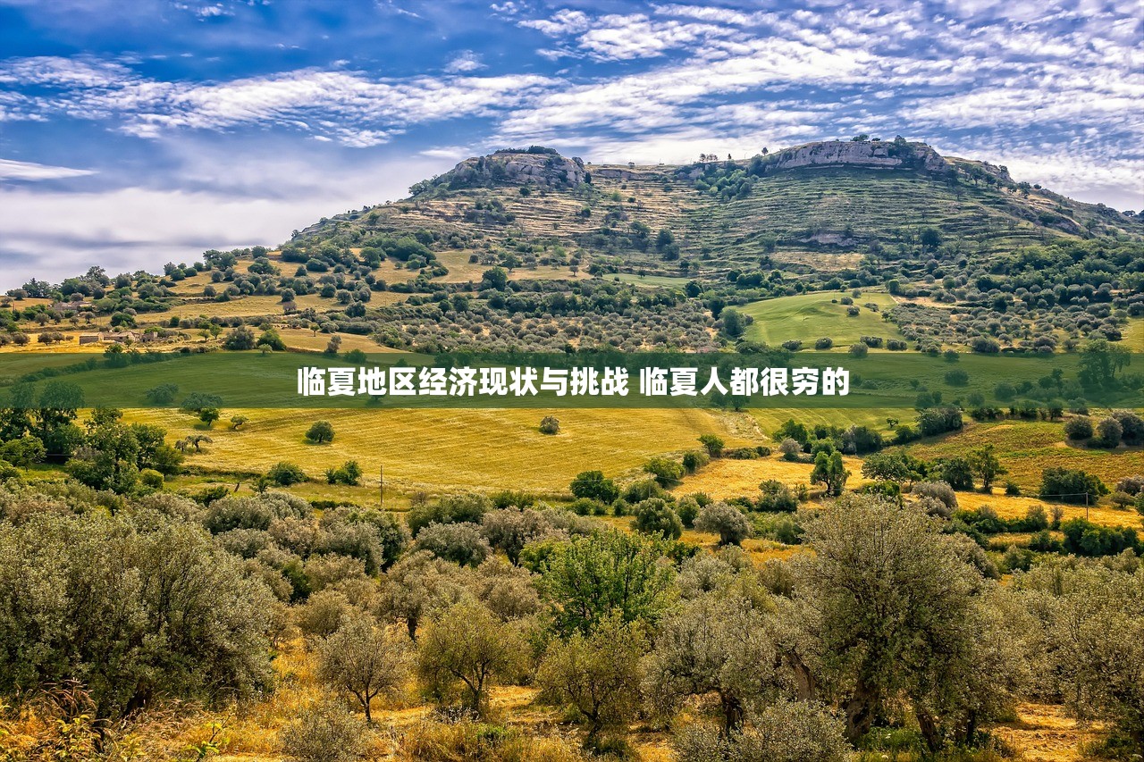 临夏地区经济现状与挑战 临夏人都很穷的 临夏地区经济现状与挑战 临夏人都很穷的