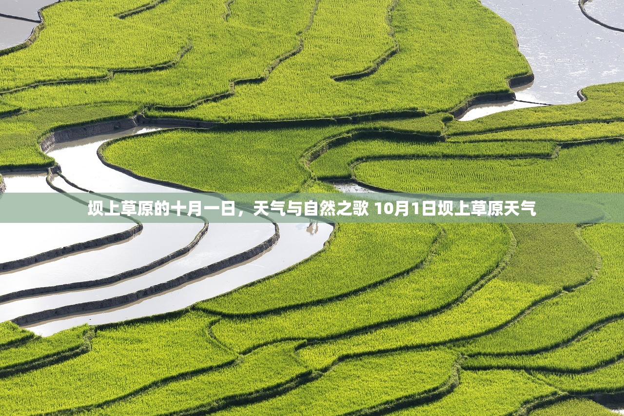 坝上草原的十月一日，天气与自然之歌 10月1日坝上草原天气