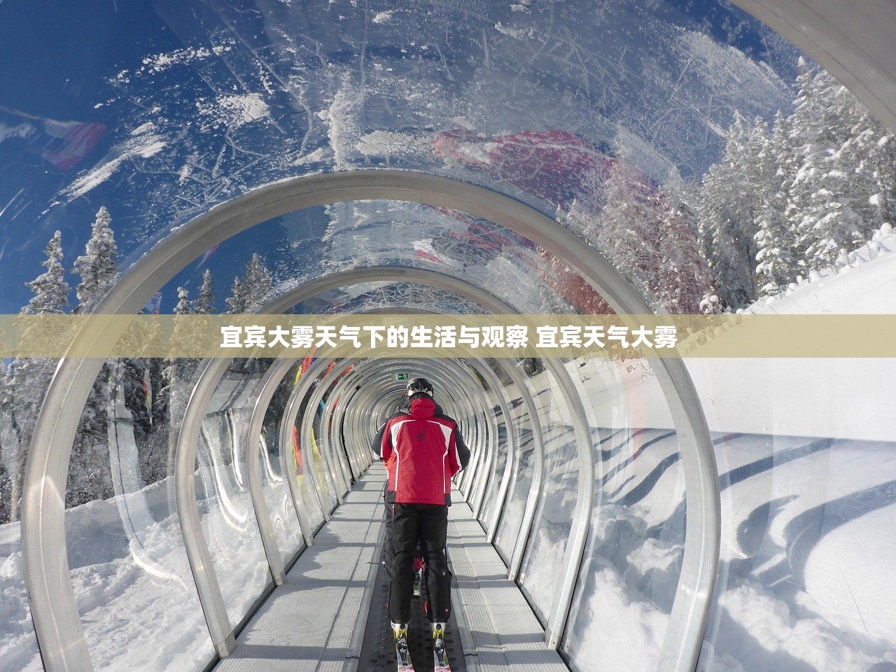 宜宾大雾天气下的生活与观察 宜宾天气大雾