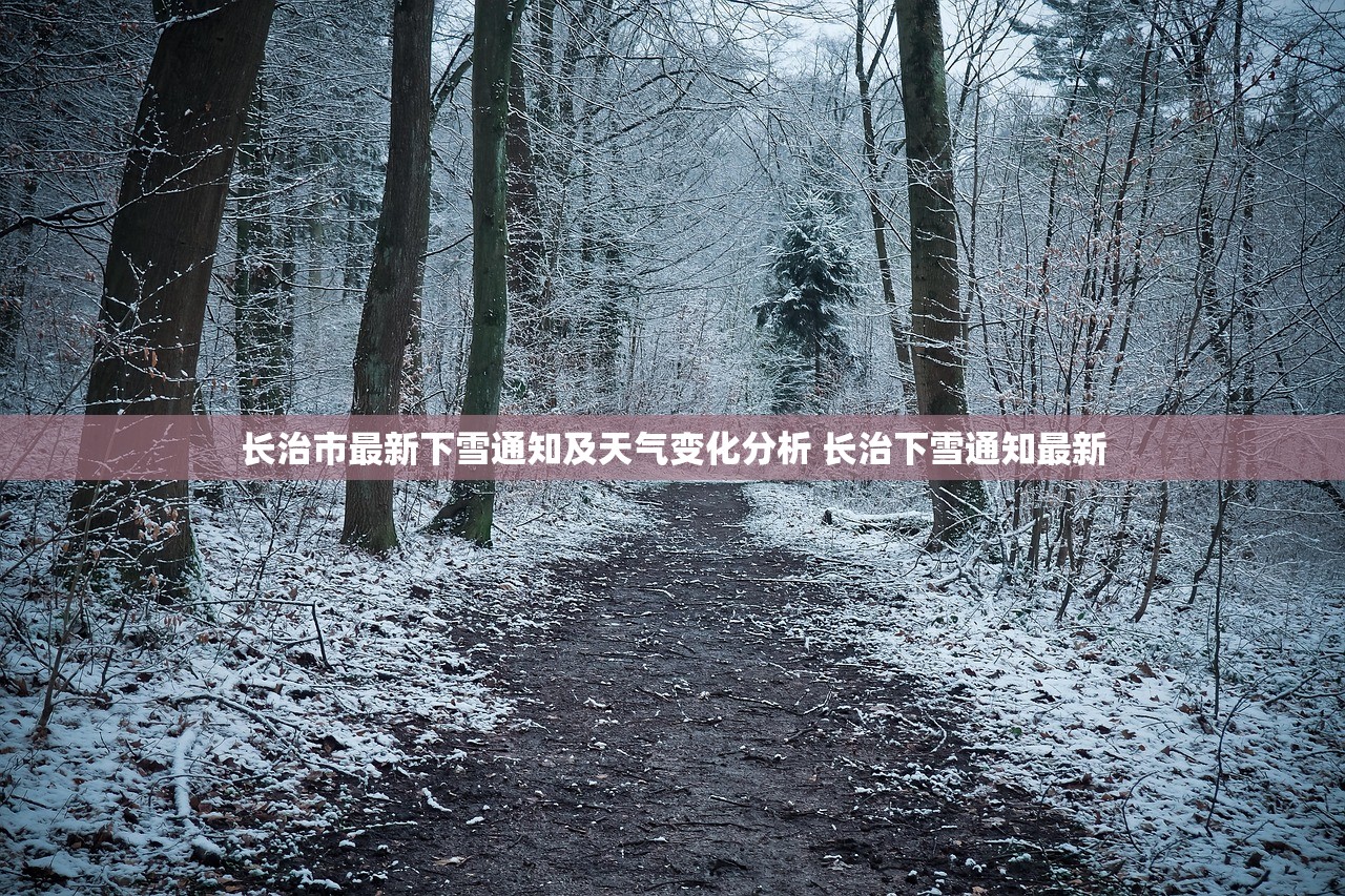 长治市最新下雪通知及天气变化分析 长治下雪通知最新