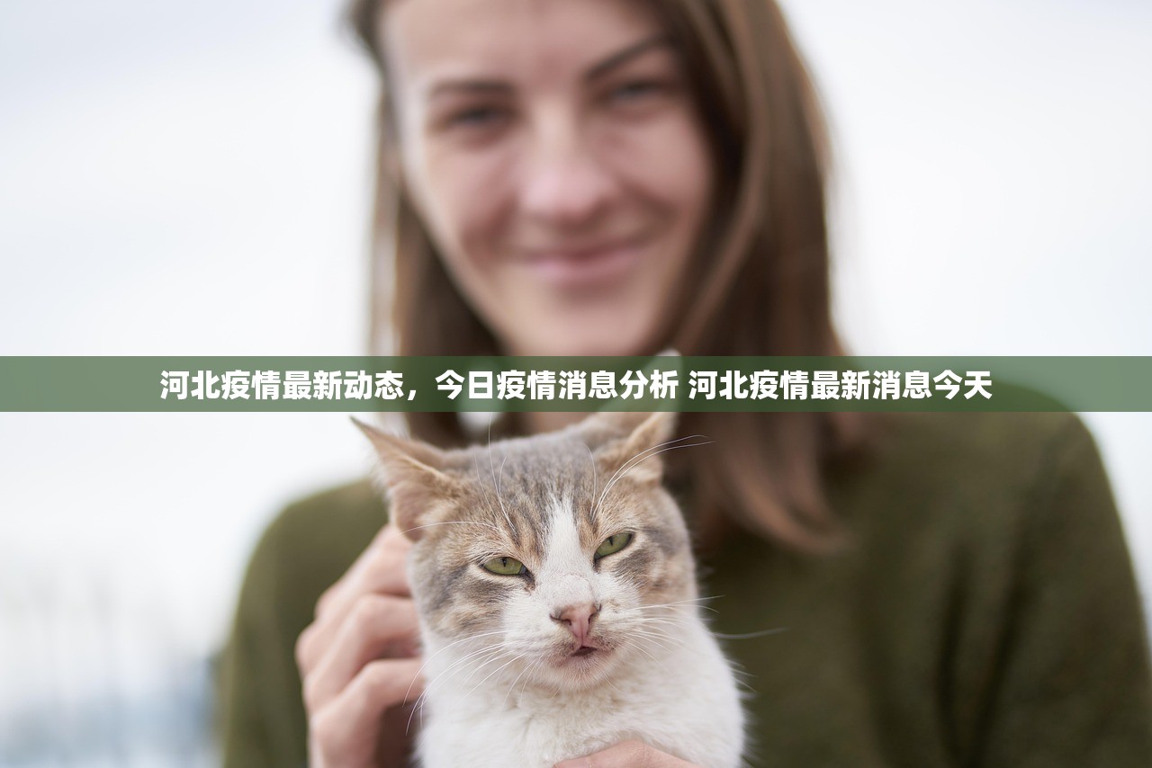 河北疫情最新动态，今日疫情消息分析 河北疫情最新消息今天