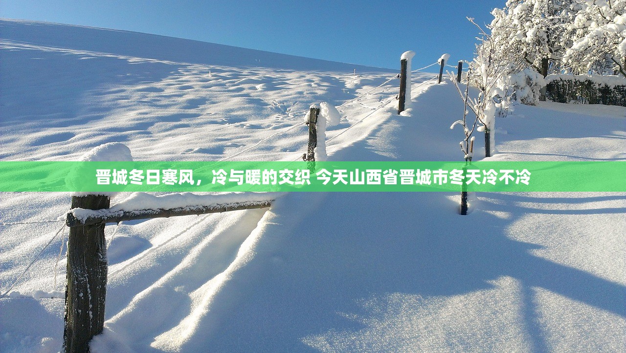 晋城冬日寒风，冷与暖的交织 今天山西省晋城市冬天冷不冷