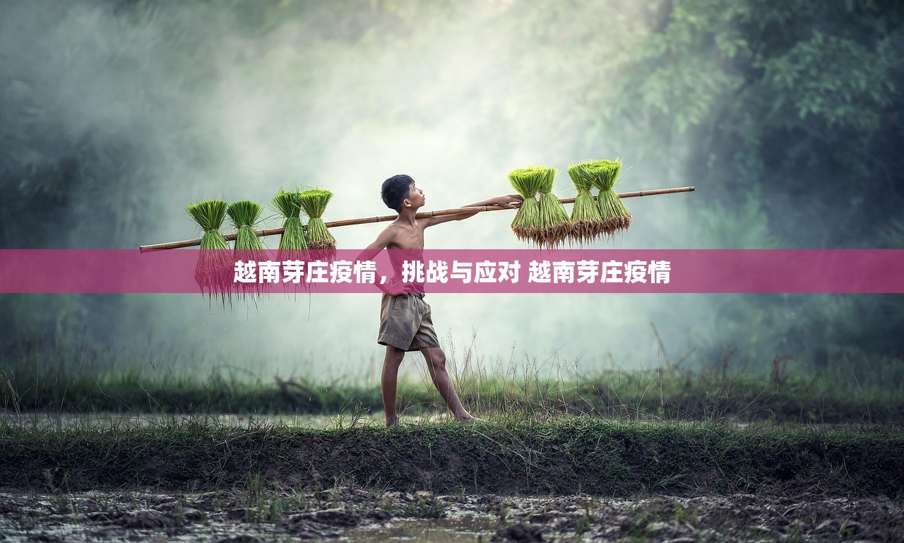 越南芽庄疫情，挑战与应对 越南芽庄疫情